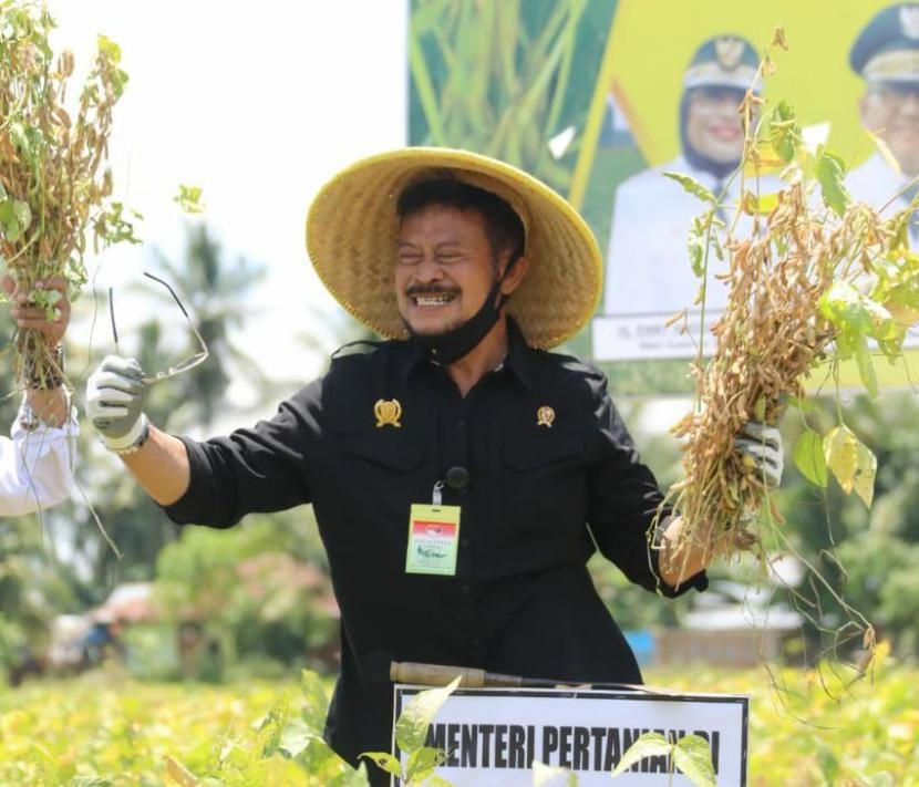 Mentan Genjot Produksi Kedelai dengan Kemitraan